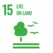 Life on land